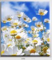 /album/photo-gallery-canvas-uri/decoratiuni-de-perete-canvas-lc-1446-jpg/